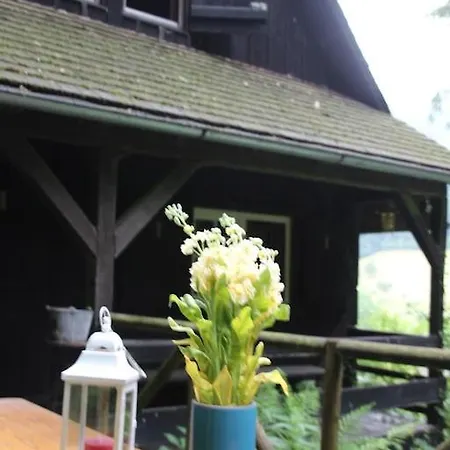 Holiday home Black Forest House Wolfach