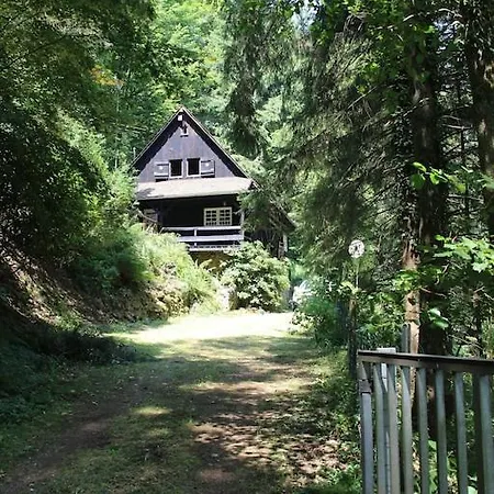 Σπίτι διακοπών Black Forest House
