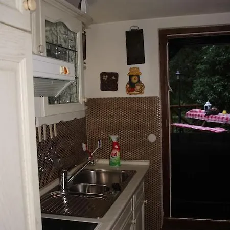 Black Forest House