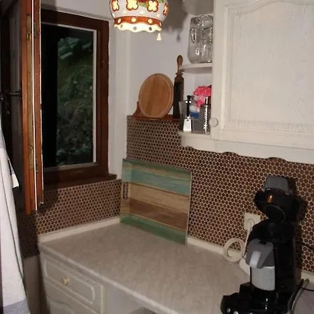 Σπίτι διακοπών Black Forest House Wolfach
