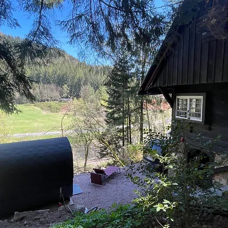 Holiday home Black Forest House *